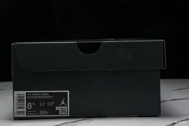 Rep TBK Jordan Oxidized Green 4 Air FQ8138-103 0730